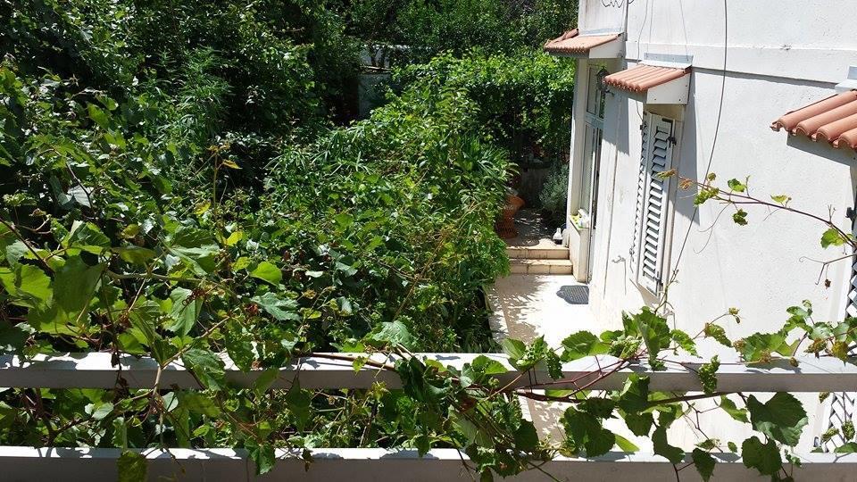 Lima Lazaneo Apartman